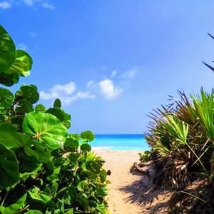 Meet your Posher, Dan